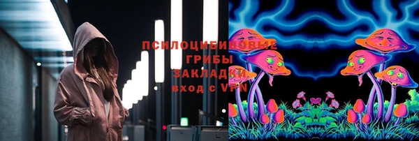 сатива Алексеевка