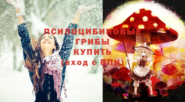 мет Абаза