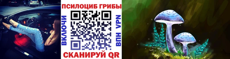закладка  Уржум  Псилоцибиновые грибы Psilocybine cubensis 
