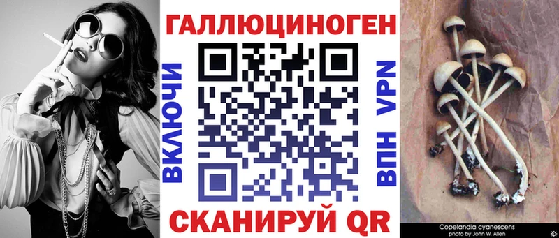 Галлюциногенные грибы Psilocybine cubensis Уржум